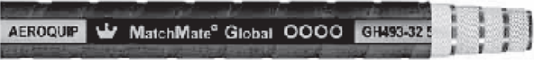 GH493